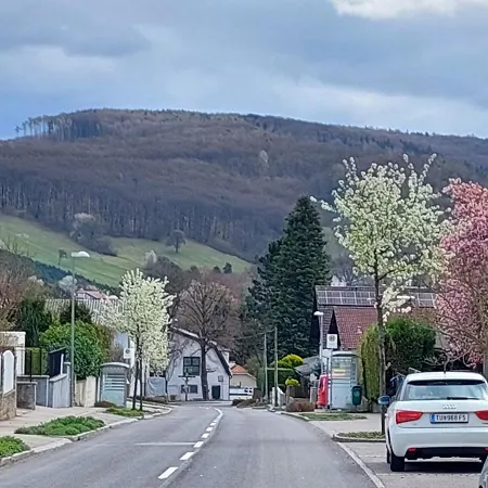 ベッド・アンド・ブレックファスト Welserhof 3*