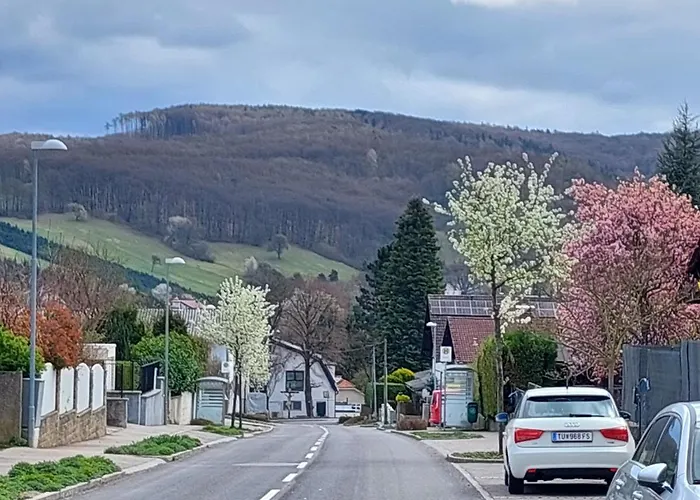 Bed & Breakfast Welserhof 3*