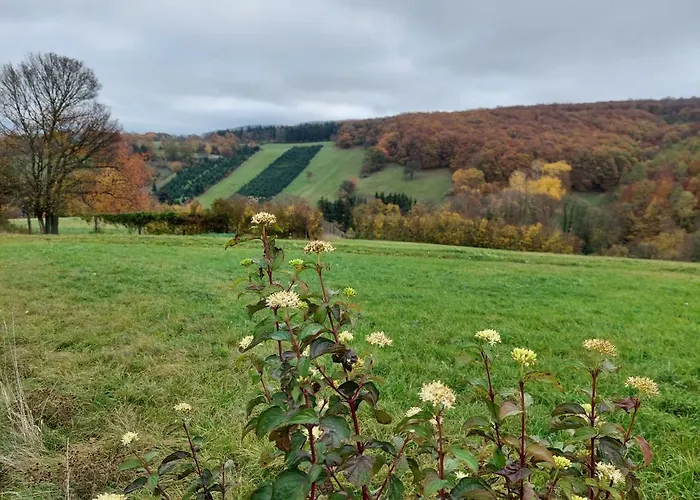 Welserhof Wilfersdorf