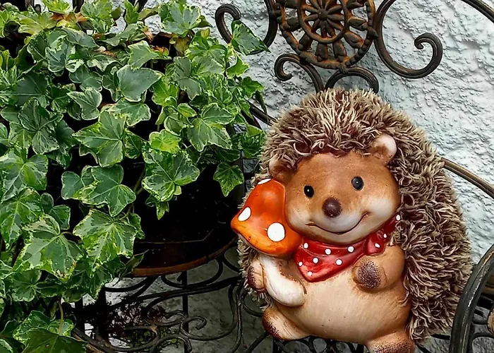 Bed & Breakfast Welserhof 3*